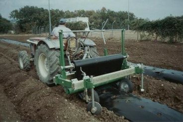 FILMEUSE - filmeuse - THOMAS 150