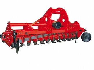 FRAISE maraîchère - Fraise standard - FFR-L-240