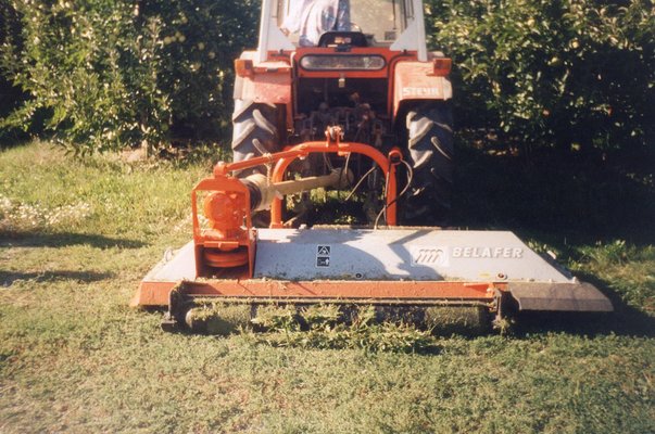 TONDEUSE - Tondeuse standard - DDP-220