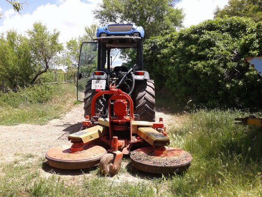 TONDEUSE - Tondeuse standard - DD-185D