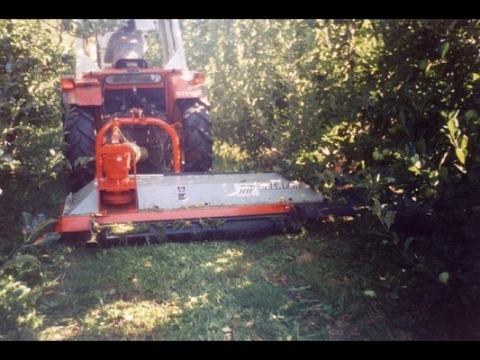 TONDEUSE - Tondeuse standard - DDP-220