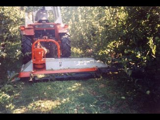 TONDEUSE - Tondeuse standard - DDP-220