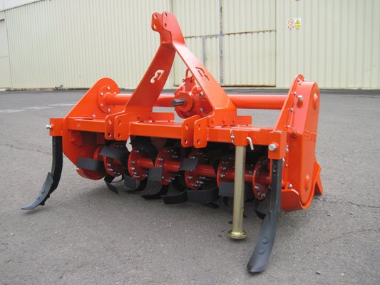 FRAISE maraîchère - Fraise standard - FFL-080