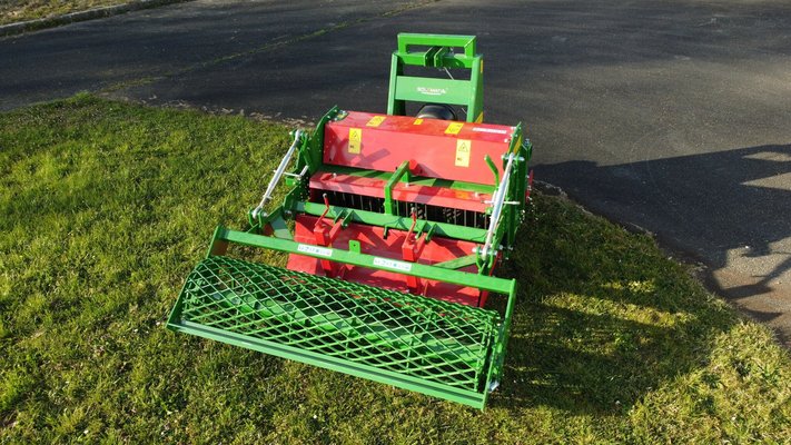 FRAISE maraîchère - Fraise Enterre-pierre - SOLEPIERRE 100