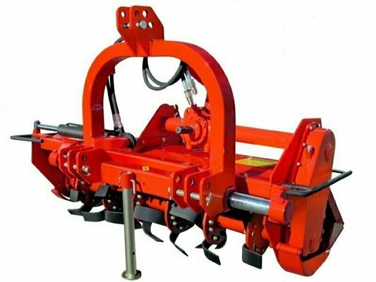 FRAISE maraîchère - Fraise standard - FDL-150