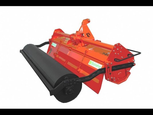 FRAISE maraîchère - Fraise standard - FFR TENERIFE-160