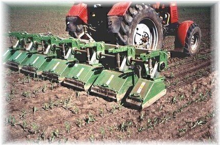 FRAISE maraîchère - Fraise Inter-lignes - RA XL2