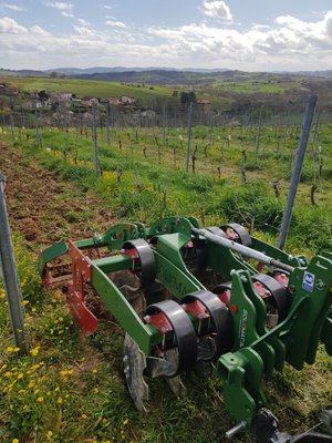 CULTIVATEUR - Cultivateur à disques - XOSOL 10 viti