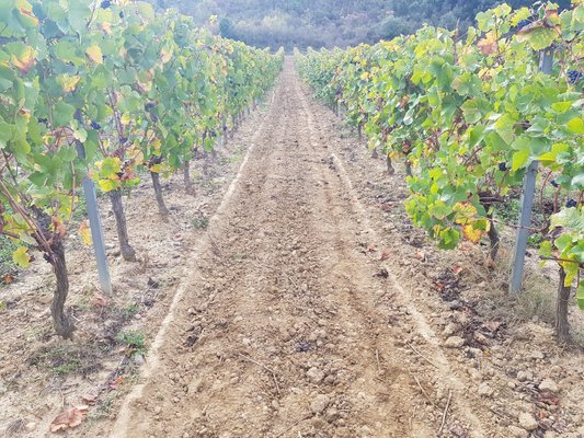 VIBROCULTEUR - 2 poutres - V.I.B.S 82