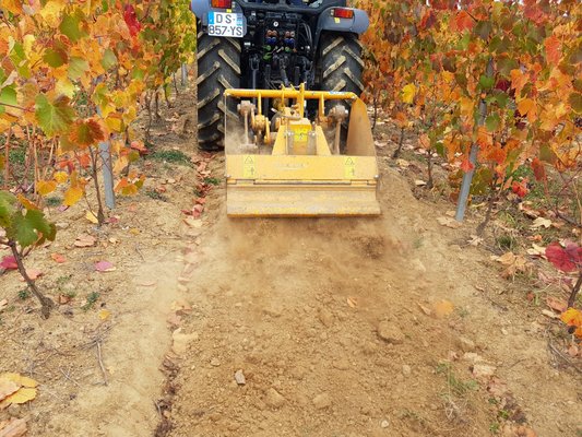 BECHEUSE - Bechosol 35 - BECHOSOL 35 080