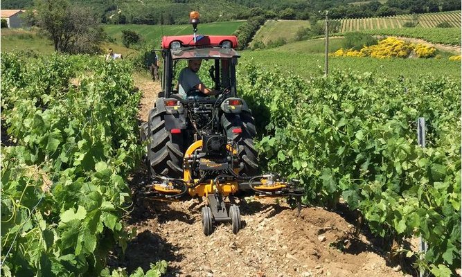 INTERCEPS - Interceps viticole - ENERGY DUAL/P 1