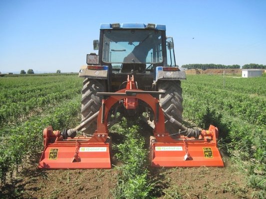 FRAISE maraîchère - Fraise Inter-lignes - FLM-80