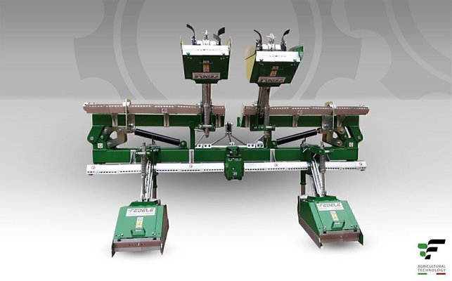 FRAISE maraîchère - Fraise Inter-lignes - RXLD 21