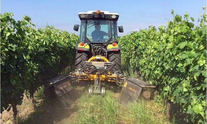 INTERCEPS - Interceps viticole - ENERGY DUAL/P 1