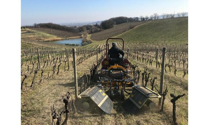 INTERCEPS - Interceps viticole - ENERGY DUAL/P 1