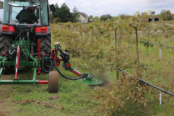 INTERCEPS - Interceps arboricole - ARBO + Reversible