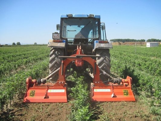 FRAISE maraîchère - Fraise Inter-lignes - FLM-90