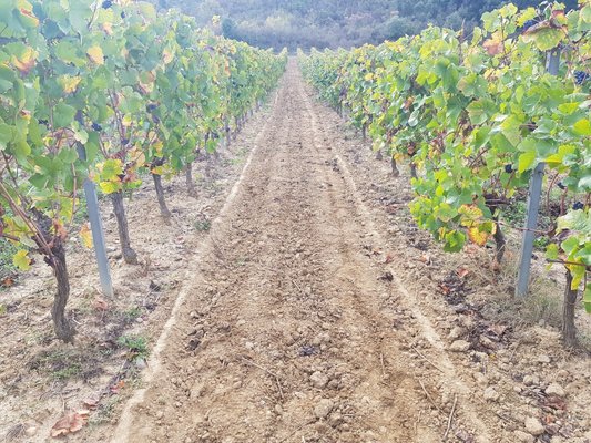 VIBROCULTEUR - 3 poutres - V.I.B.S 130