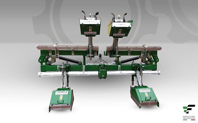 FRAISE maraîchère - Fraise Inter-lignes - RL 21