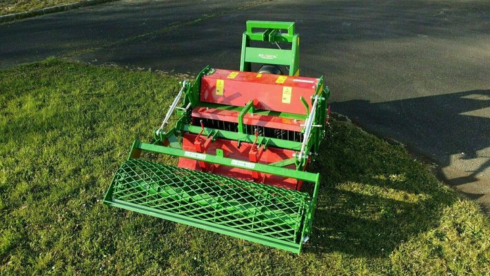 FRAISE maraîchère - Fraise Enterre-pierre - SOLEPIERRE 235