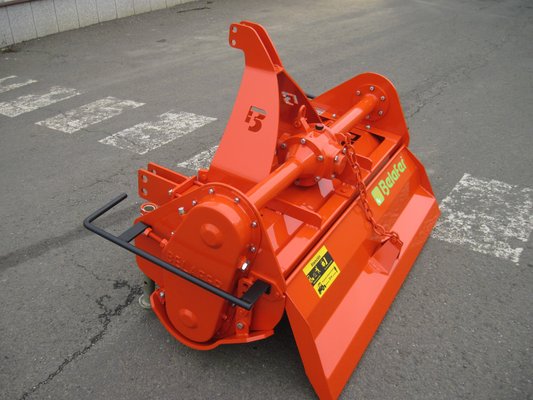 FRAISE maraîchère - Fraise standard - FFL-080