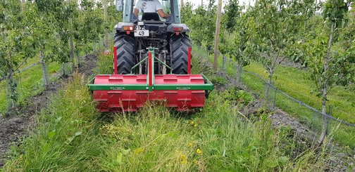 ROULEAU FACA - Facasol - FACASOL 80