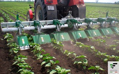 FRAISE maraîchère - Fraise Inter-lignes - RA XL22