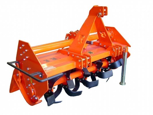 FRAISE maraîchère - Fraise standard - RE-100