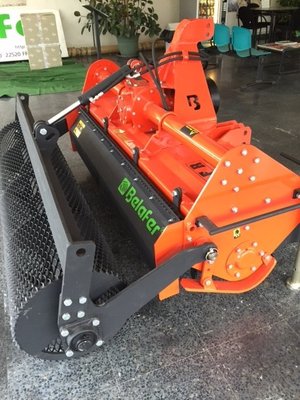 FRAISE maraîchère - Fraise standard - FFR TENERIFE-160