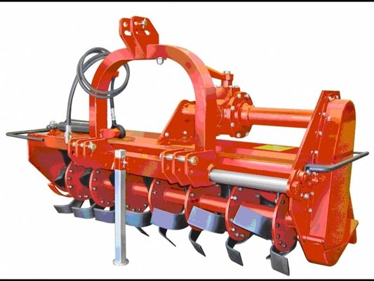 FRAISE maraîchère - Fraise standard - FDR-140