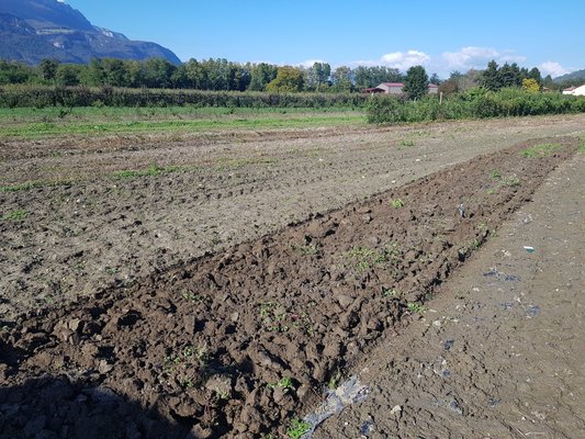 SOULEVEUSE - Souleveuse - L.S.M 170