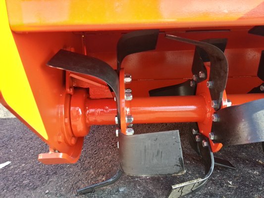 FRAISE maraîchère - Fraise standard - FFR-120