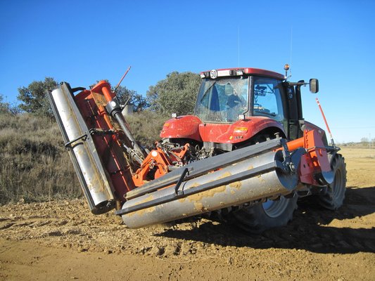 FRAISE maraîchère - Fraise standard - FFR-120