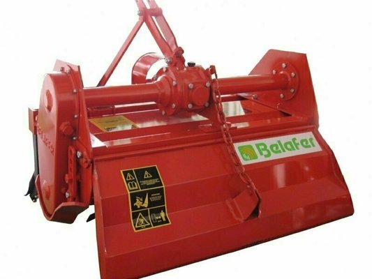 FRAISE maraîchère - Fraise standard - FFL-130