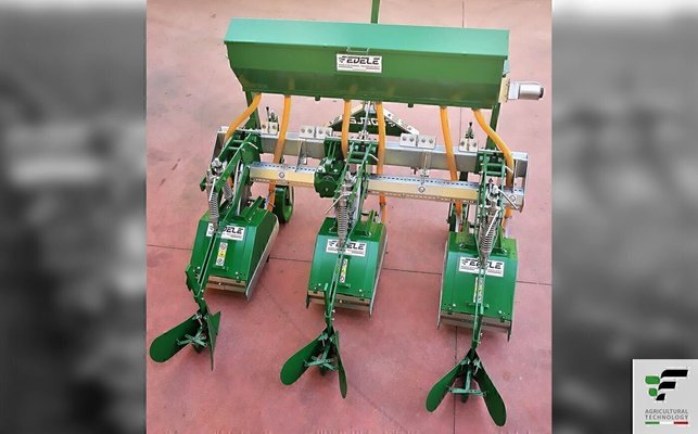 FRAISE maraîchère - Fraise Inter-lignes - RL 21