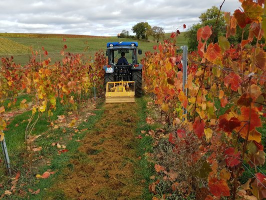 BECHEUSE - Bechosol 35 - BECHOSOL 35 080