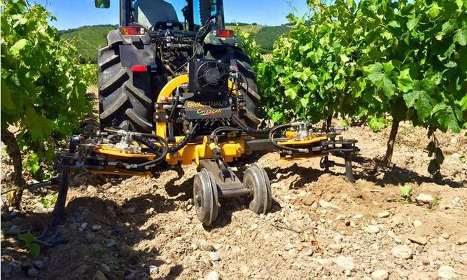 INTERCEPS - Interceps viticole - ENERGY DUAL/P 1