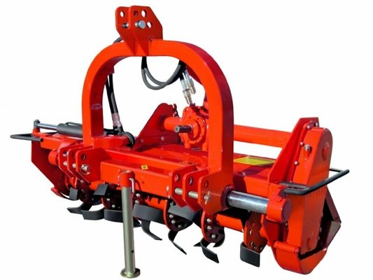 FRAISE maraîchère - Fraise standard - FDL-110