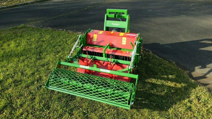 FRAISE maraîchère - Fraise Enterre-pierre - SOLEPIERRE 190