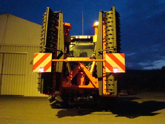 FRAISE maraîchère - Fraise standard - FFR-L-240