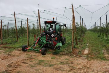 INTERCEPS - Interceps arboricole - ARBO + Porte-masse