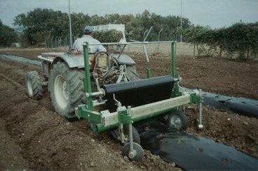 FILMEUSE - filmeuse - THOMAS 200