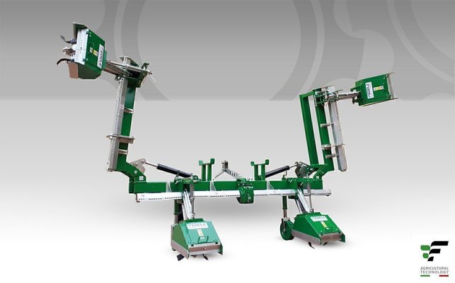 FRAISE maraîchère - Fraise Inter-lignes - RA XL12