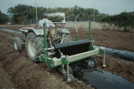 FILMEUSE - filmeuse - THOMAS 150